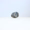 stone+glass : b-09-118